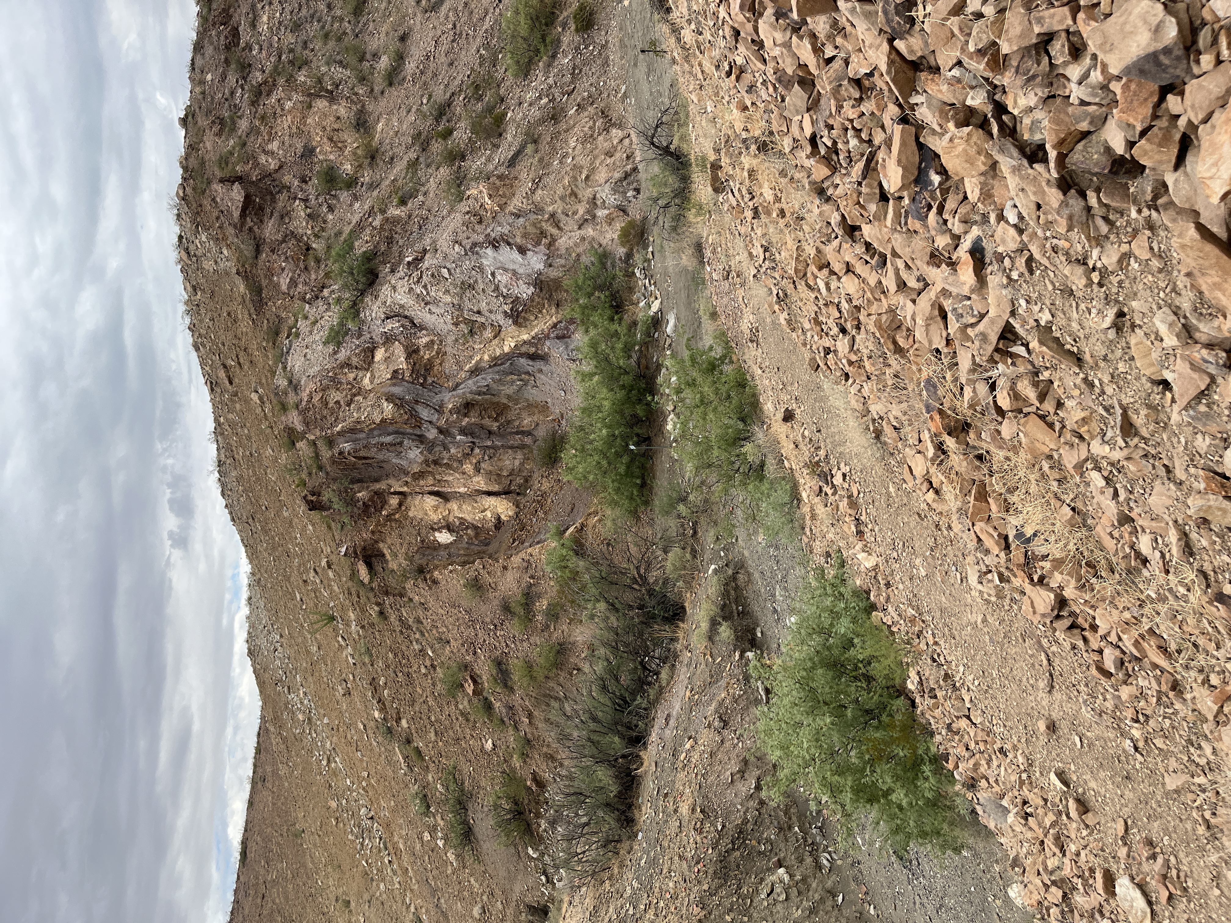 IMG_5278.JPG